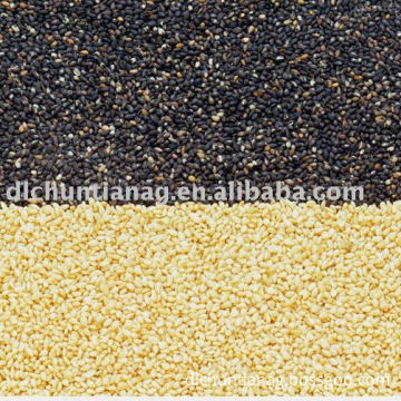 black sesame seeds organic